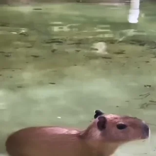 😒