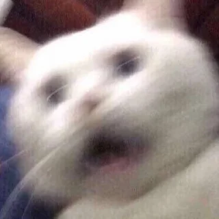 😱