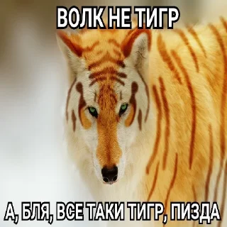 Антицирк