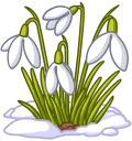 🌷
