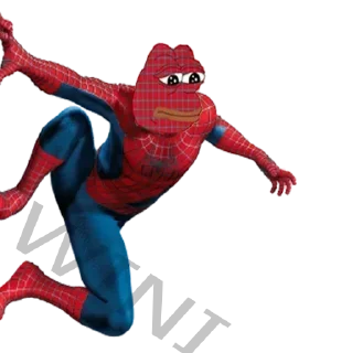 🕷
