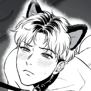 😽