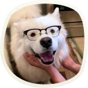 🤓
