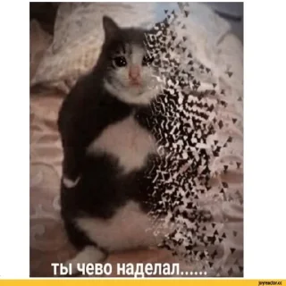 😢