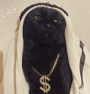 🤑