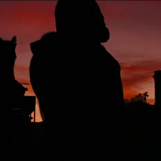 🐴