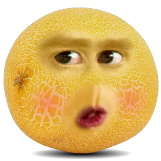 🍽