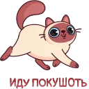🐈