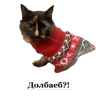 Мое