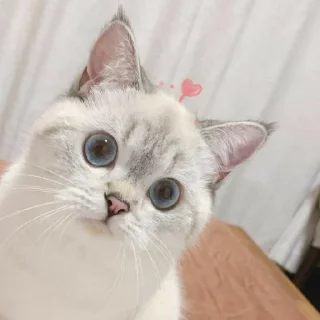 😃