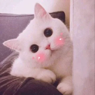 🌝