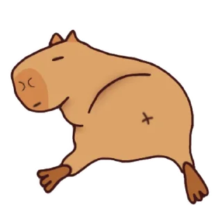 😴