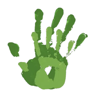 ✋