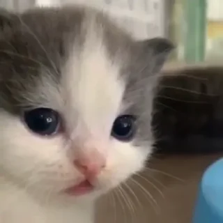 ☺️