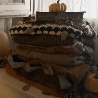 🍂