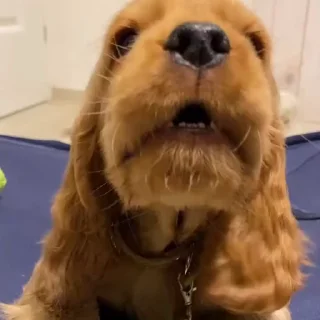 😠