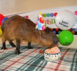 🎂