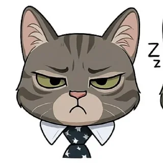 🐱