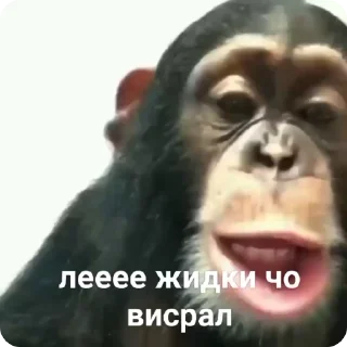 😂