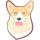 🐶