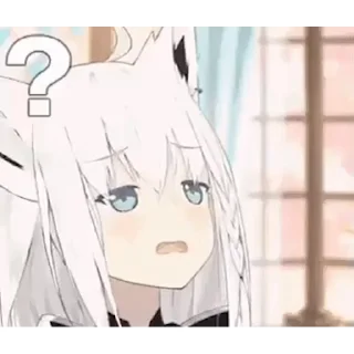 🦊