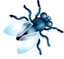 🐞