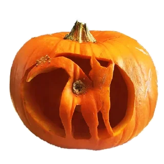 🎃
