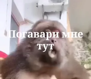 😍