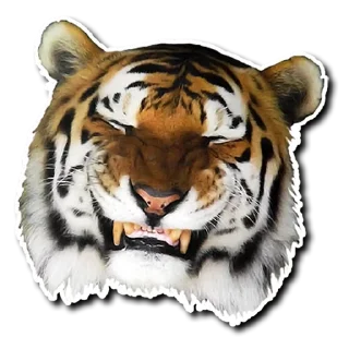 Striped @stickersb2b
