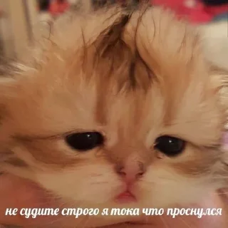 😕
