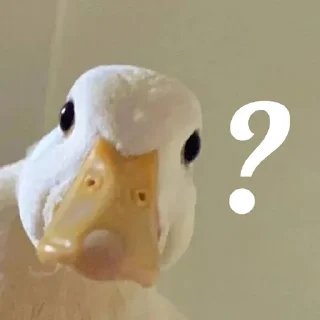 ❓
