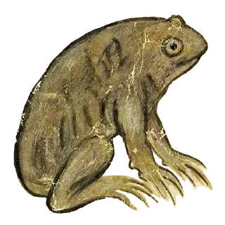🐸
