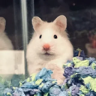 😅