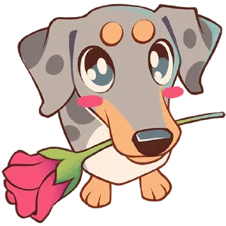 🌹