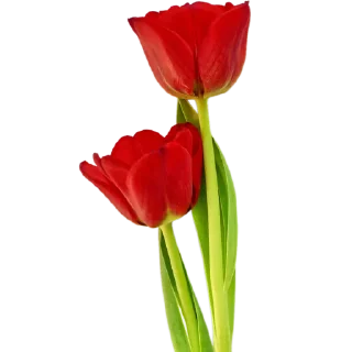 💐