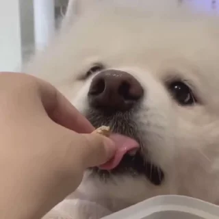 🤍