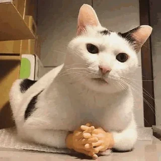 🤨