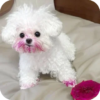 👍