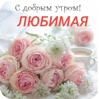 🌸