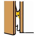 😸