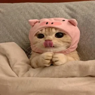 🥰