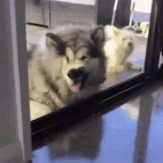 😜