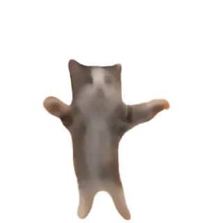 🎉