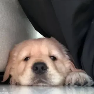 😭