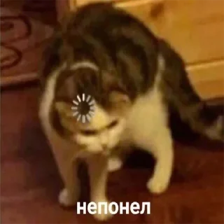 🤔