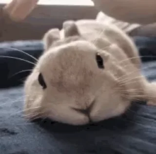 ☺