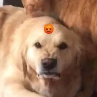😡