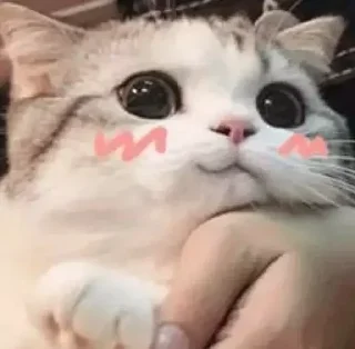 😊
