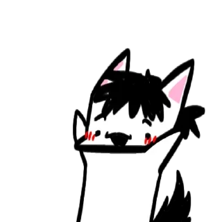😺