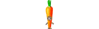 🥕